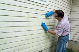 Best Vinyl Siding Installation  in Reiffton, PA